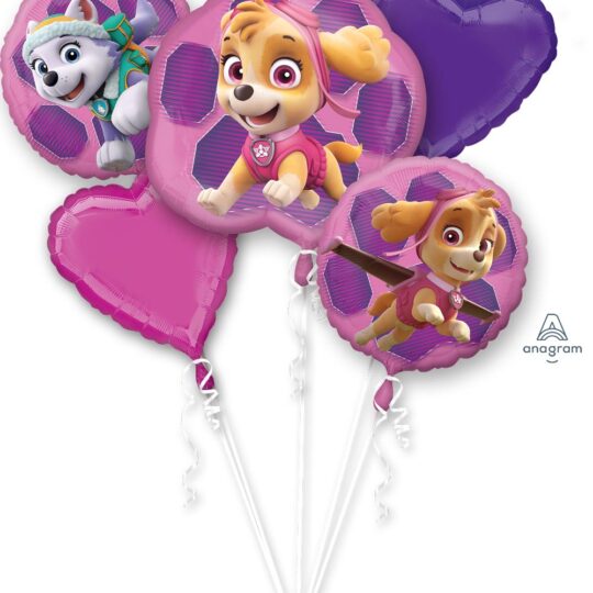 Paw Patrol Skye & Everest Foil Balloon Set