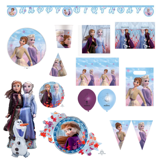 Disney Frozen Bundle for 8 Kids